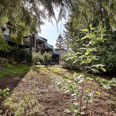 Whiski Jack Creekside Whistler Kültér fotó